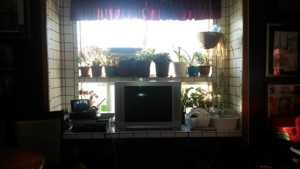 Nisku Guest House Bagian luar foto